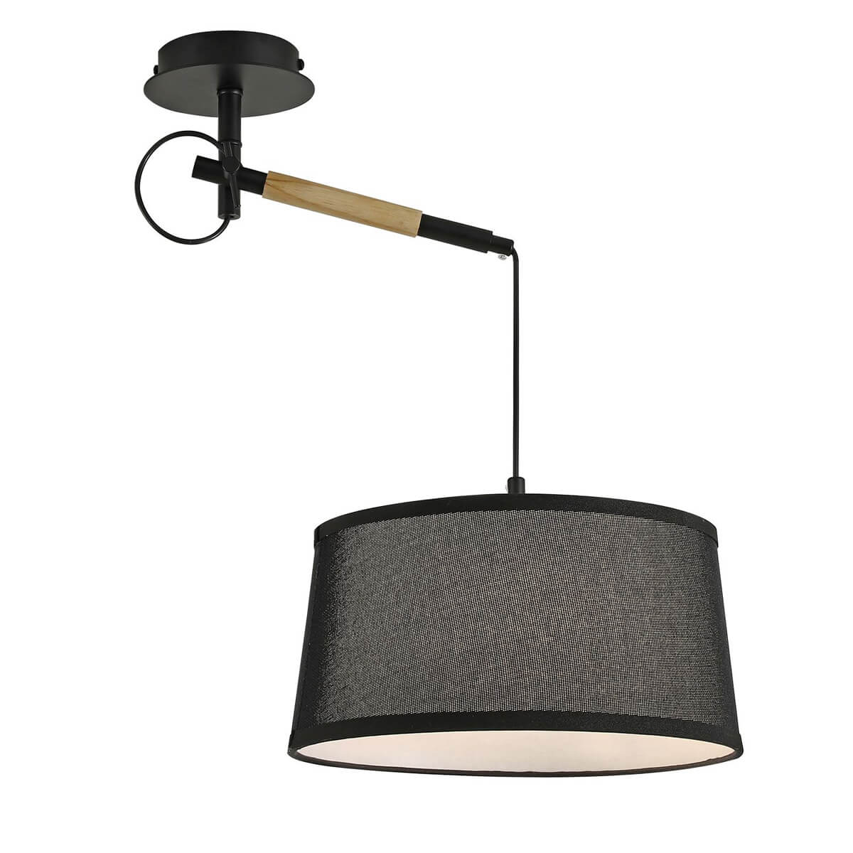

Подвесной светильник F-Promo Eureka 3006-1P, Черный, 3006-1P Eureka