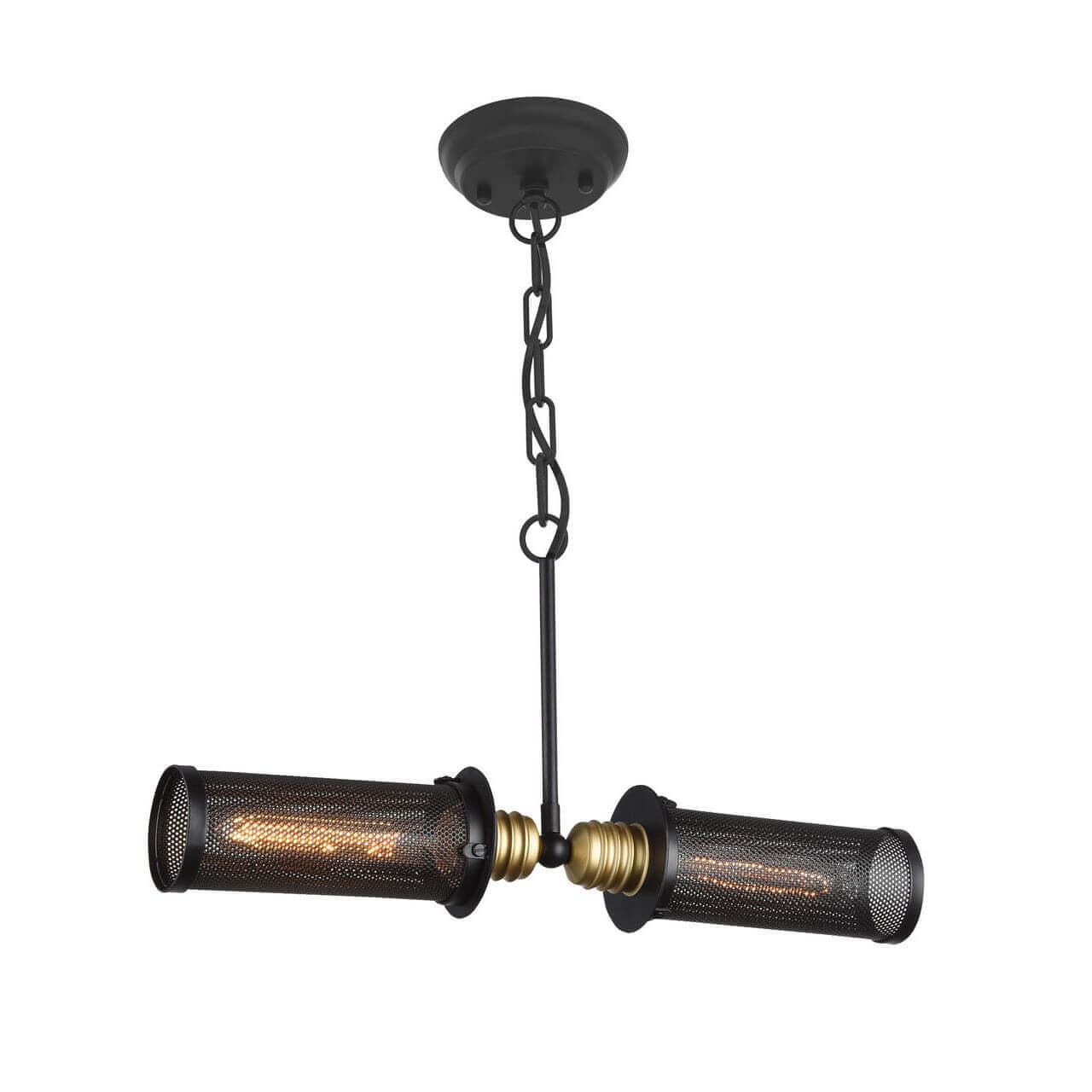 

Светильник Favourite, Черный, 1788-2P Strainer