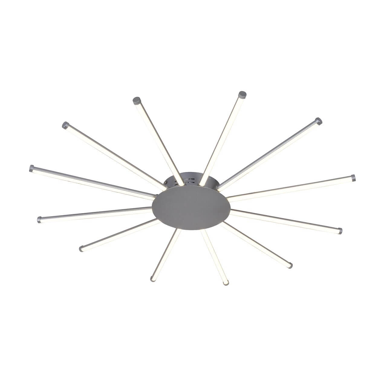 

Светильник Favourite, Серебро, 2379-12U Aster