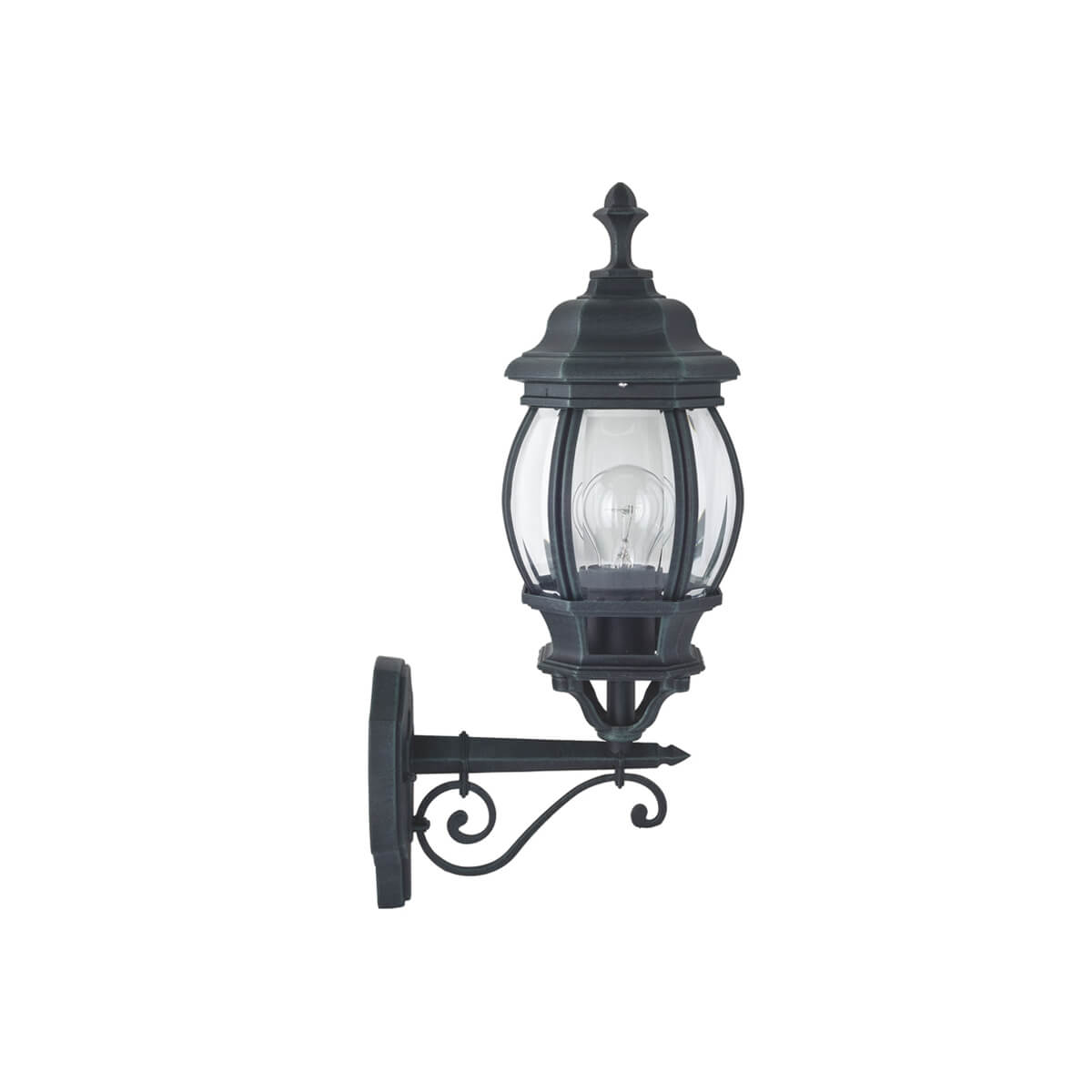 

Уличный настенный светильник Favourite Paris 1806-1W, Черный, 1806-1W Paris