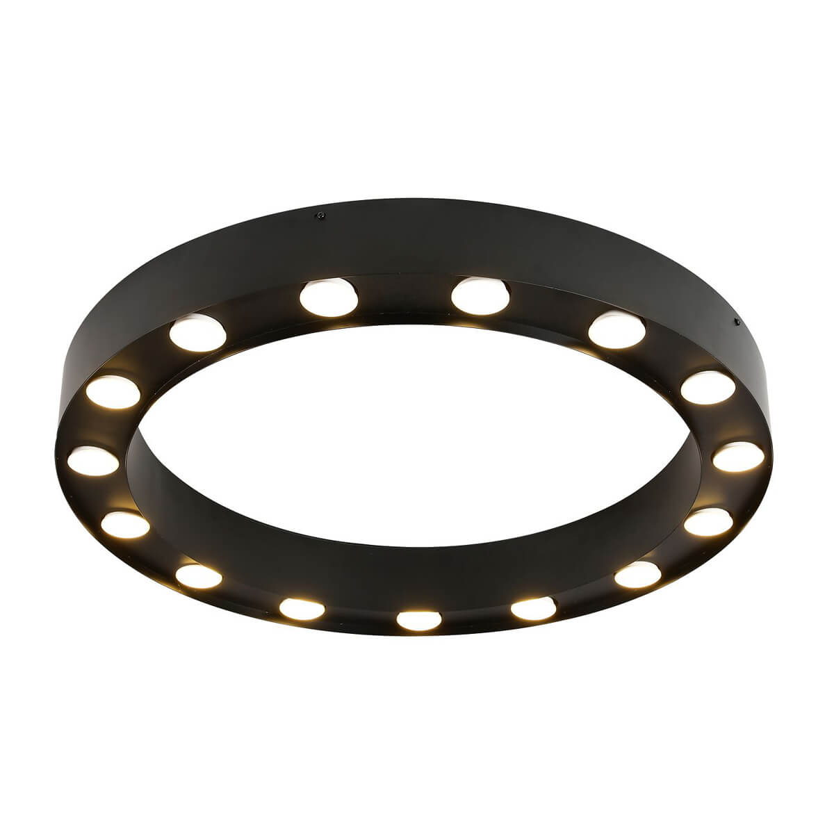 

Потолочный светильник Favourite Attica 3007-15U, Черный, 3007-15U Attica