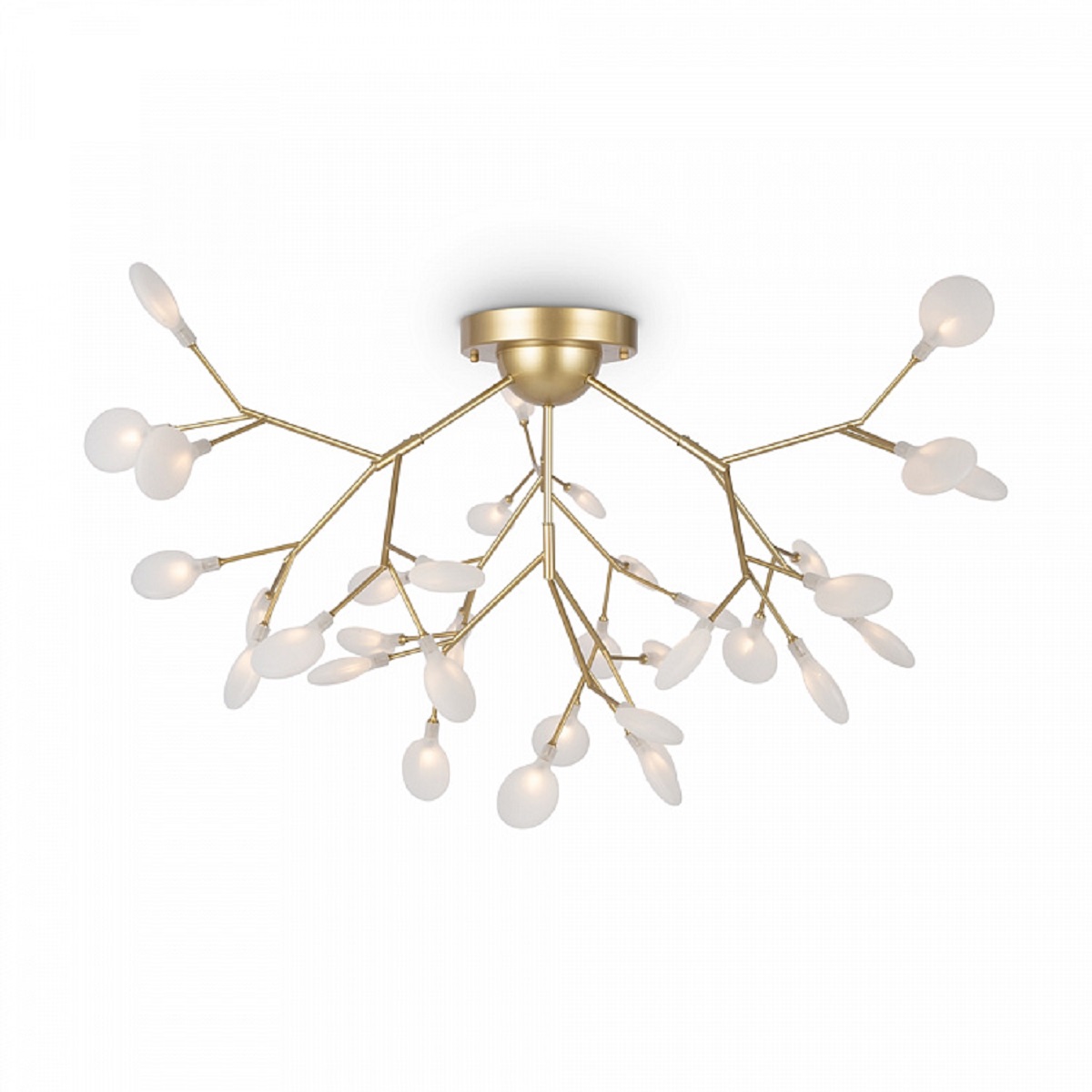 

Потолочная люстра Freya Florencia FR5049CL-36G, Золотой, FR5049CL-36G Florencia