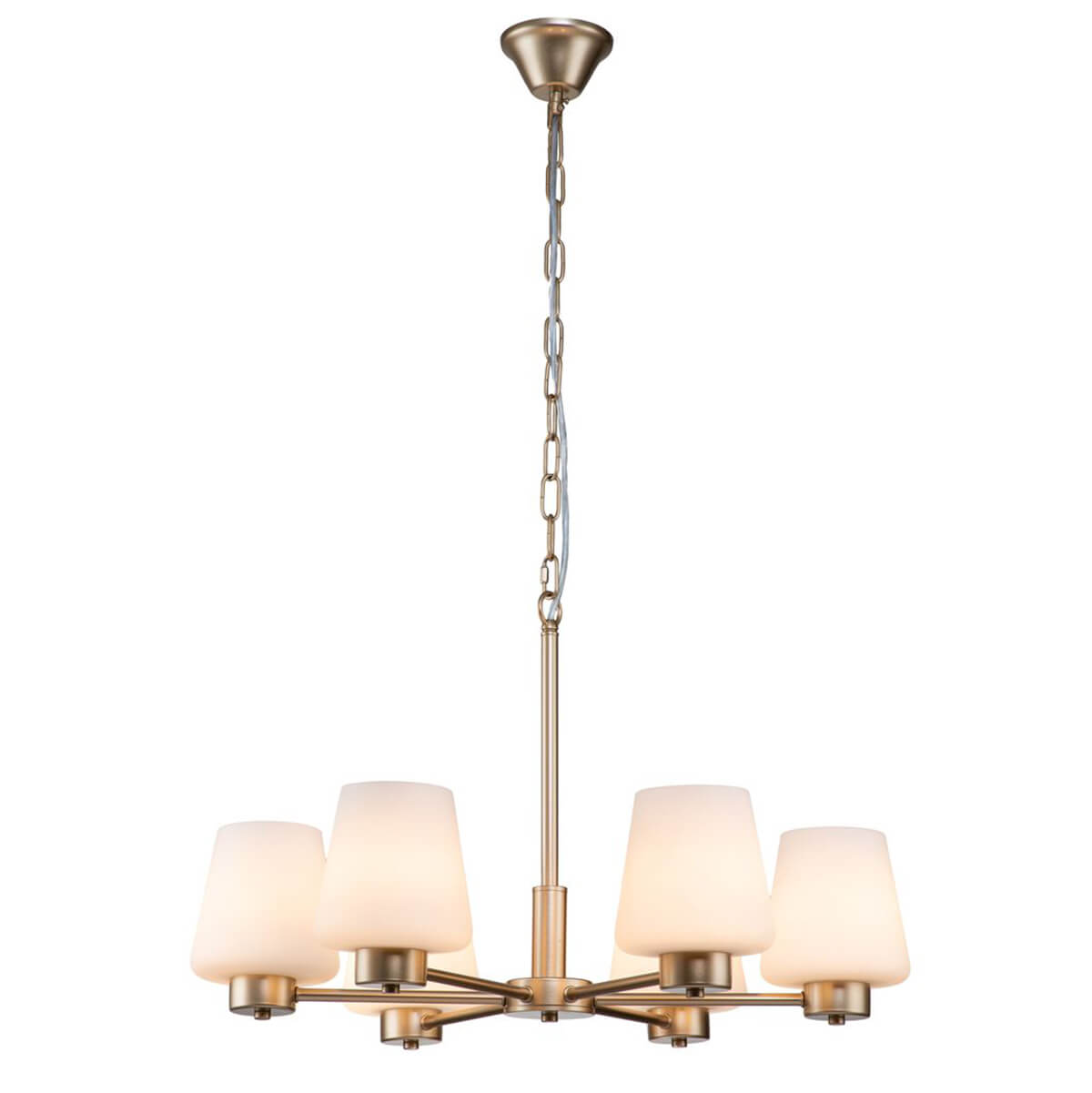 

Подвесная люстра Indigo Tulip 13004/6P Gold V000001, Белый, V000001 Tulip