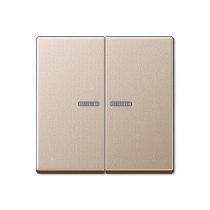 

Клавиша Jung, Шампань, A595KO5CH A 500