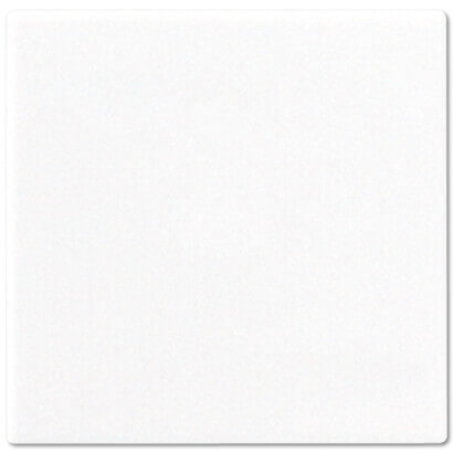 

Клавиша Jung, Белый, A590WW A 500