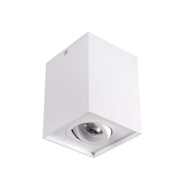 

Накладной точечный светильник Kanlux GORD DLP 50-W 25470, Белый, 25470 Gord