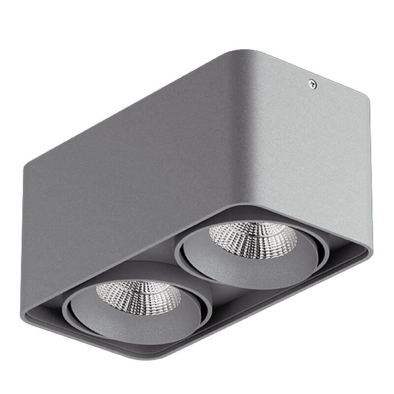 

Потолочный светильник Lightstar Monocco 212529, Серый, 212529 Monocco