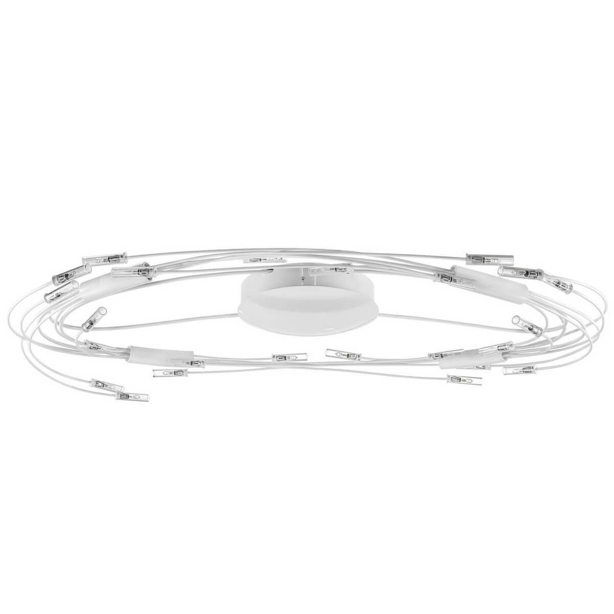 

Светильник Lightstar, Белый, 784246 Ovale