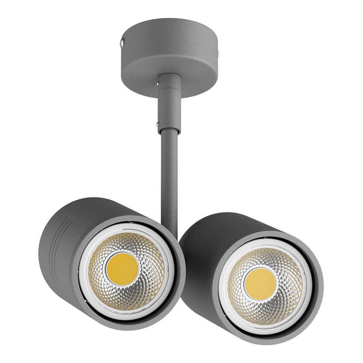 

Потолочный светильник Lightstar Rullo 214449, Серый, 214449 Rullo