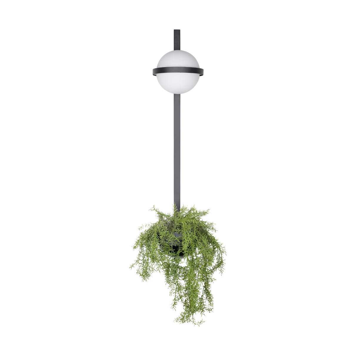 

Настенный светильник LOFT IT Jardin 10121W/B, Черный, 10121W/B Jardin
