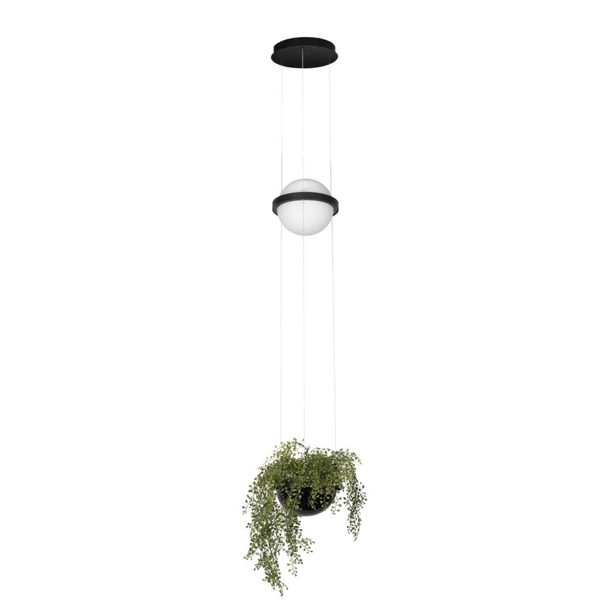 

Подвесной светильник LOFT IT Jardin 10121/B, Черный, 10121/B Jardin
