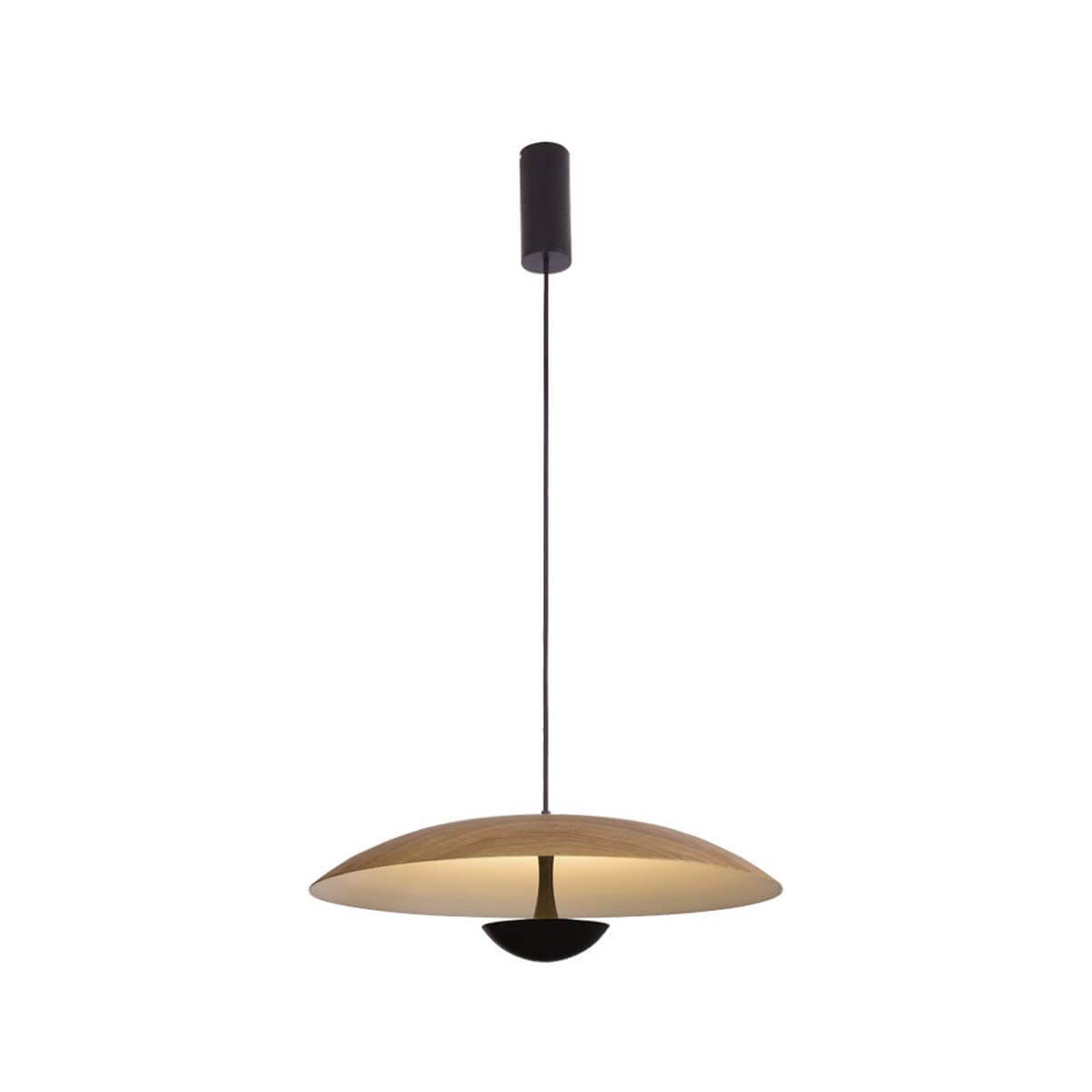 

Подвесной светильник Lumien Hall Arta 8007/1PL-WD, Черный, 8007/1PL-WD Arta