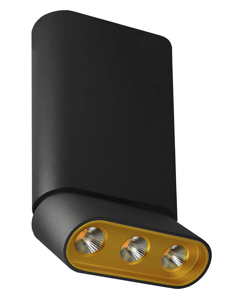 

Светодиодный спот Lumien Hall Фергус 8005/3CM-BK-GD, Черный, 8005/3CM-BK-GD Фергус
