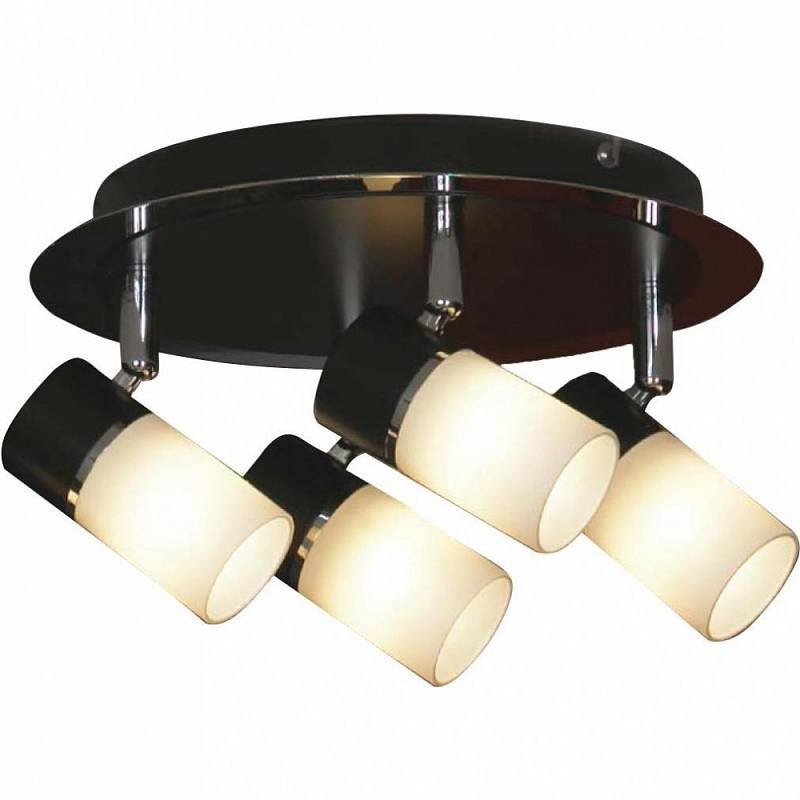 

Спот Lussole Siliqua LSQ-6101-04