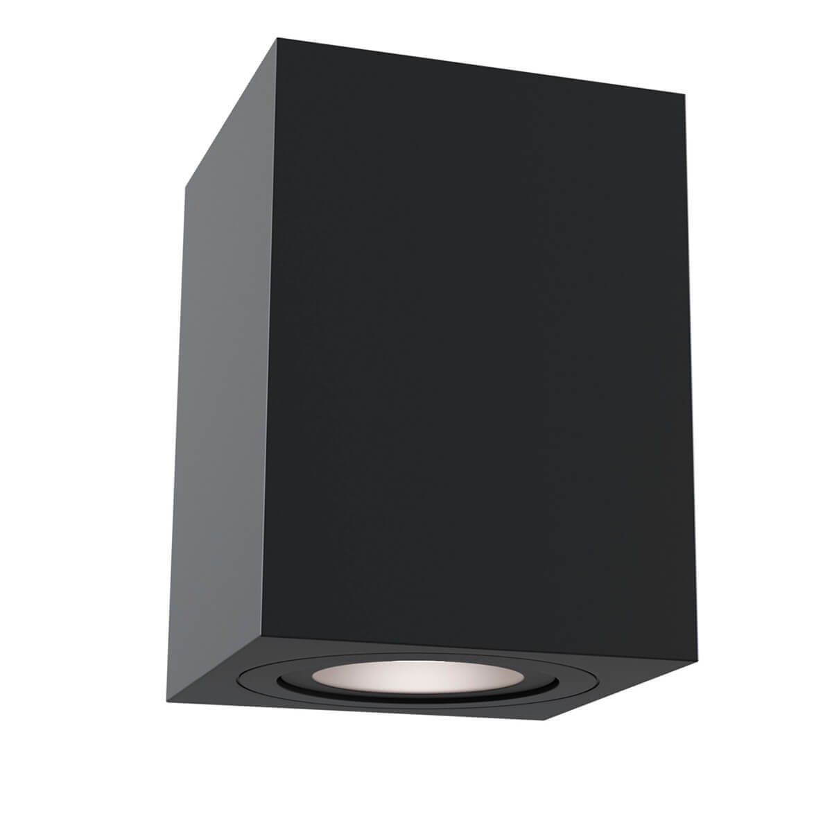 

Потолочный светильник Maytoni Alfa C017CL-01B, Черный, C017CL-01B Ceiling Wall