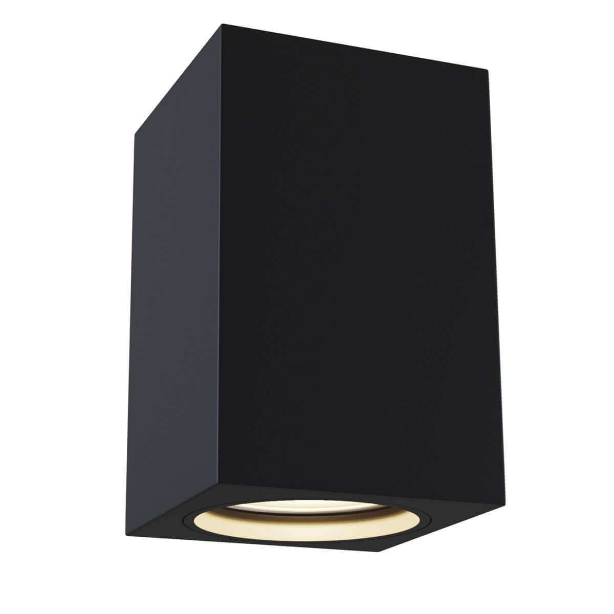 

Потолочный светильник Maytoni Alfa C011CL-01B, Черный, C011CL-01B Ceiling Wall