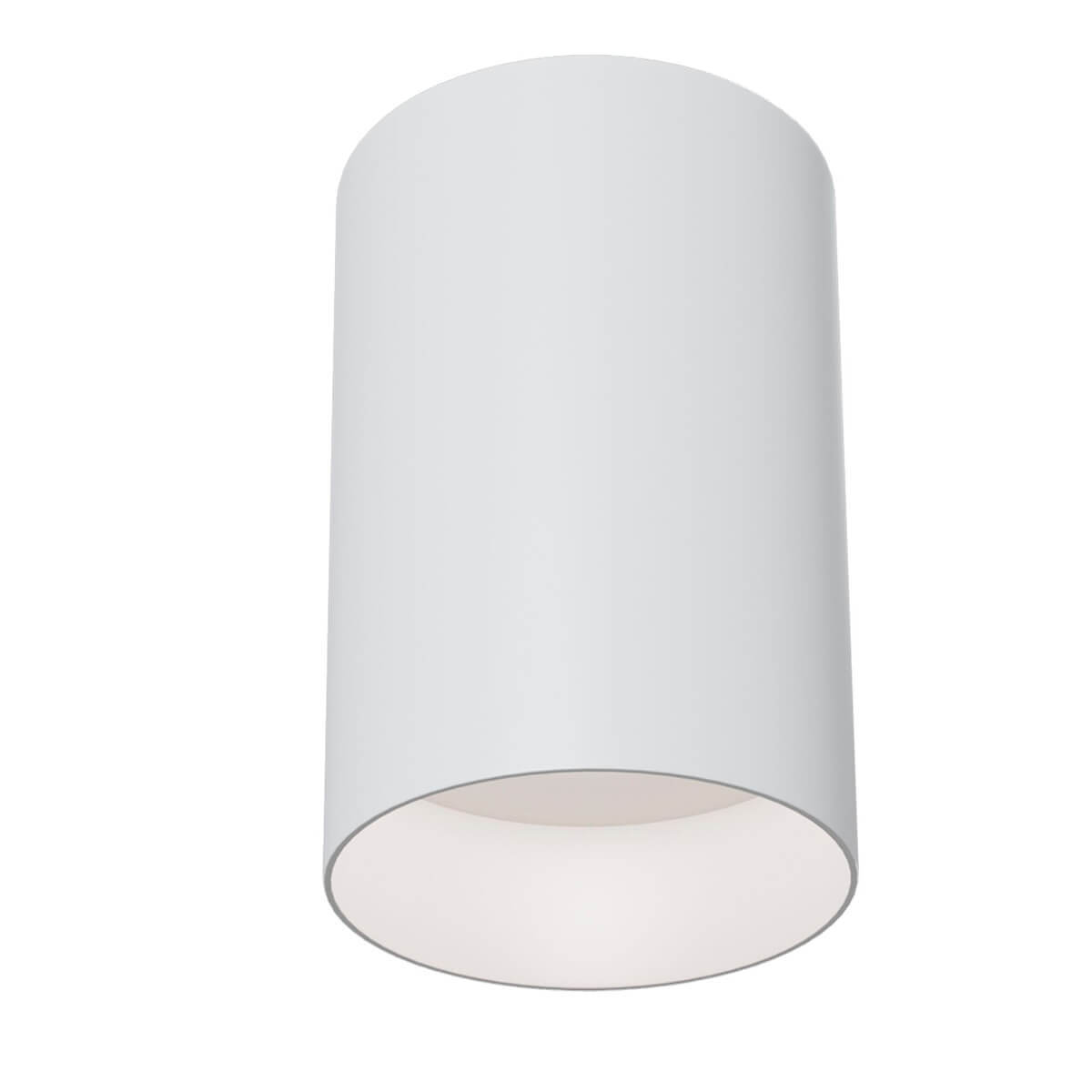 

Потолочный светильник Maytoni Alfa C014CL-01W, Белый, C014CL-01W Ceiling Wall
