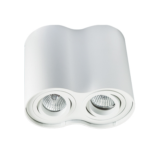 

Потолочный светильник Megalight 5600/2 white