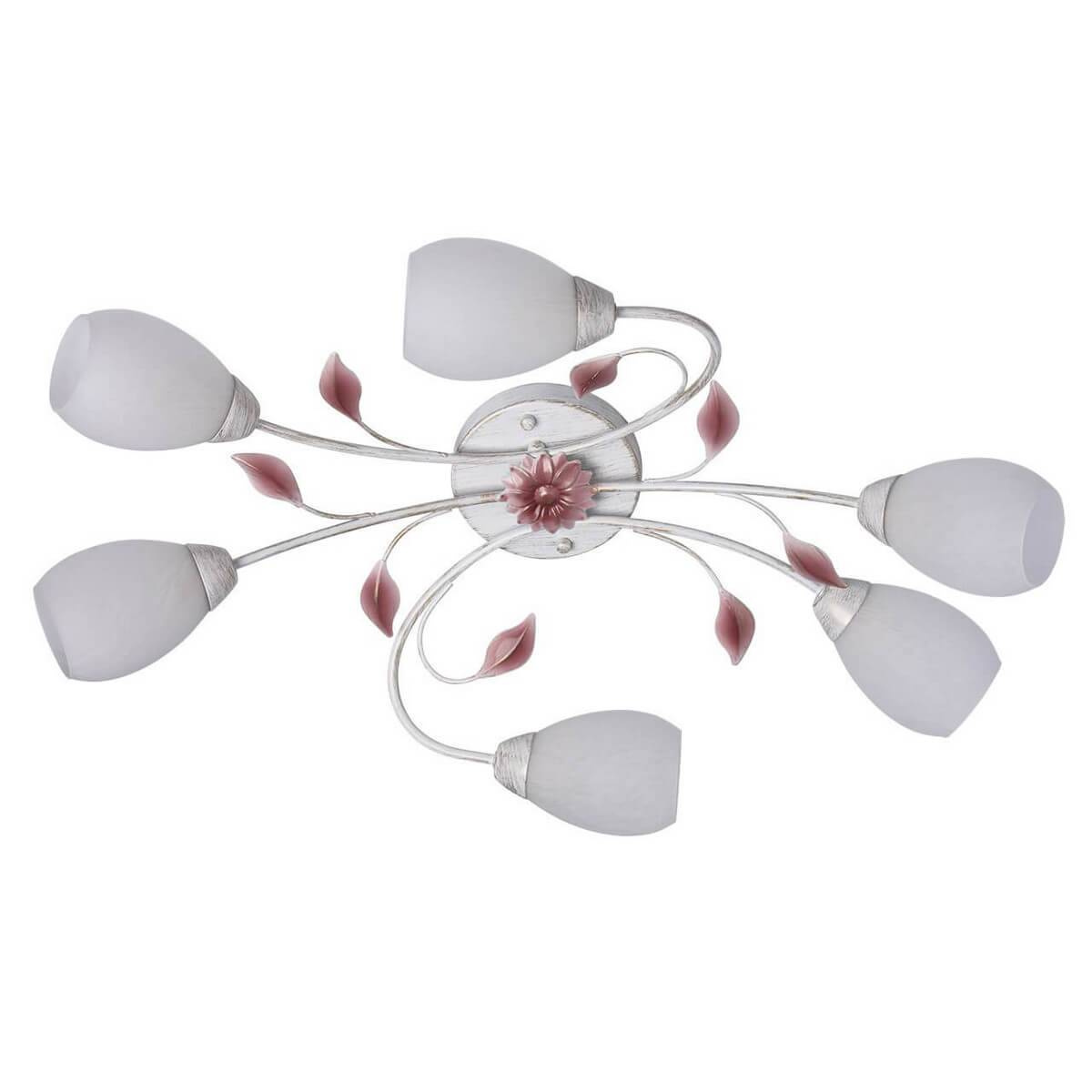 

Потолочная люстра MW-Light Восторг 242016406