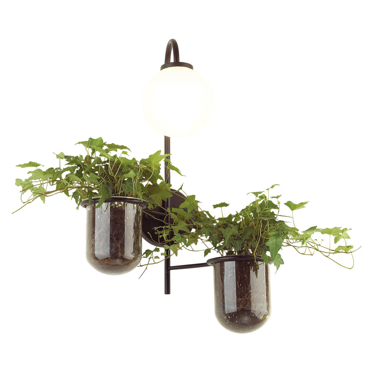 

Настенный светильник Odeon Light Flower 4681/1W, Белый, 4681/1W Walli