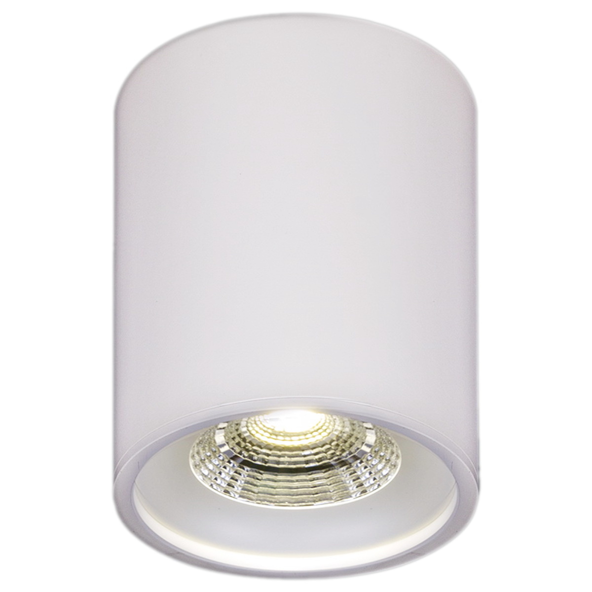 

Накладной светильник Reluce 81117-9.5-001RT LED10W WT, Белый, 81117-9.5-001RT LED10W WT
