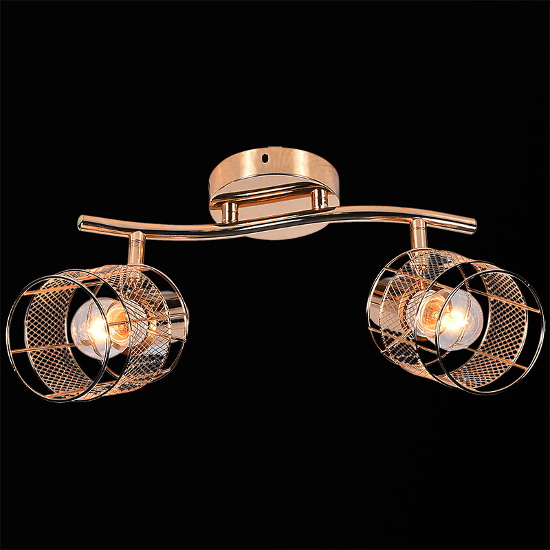 

Спот Reluce 05928-0.8-02, Золотой, 05928-0.8-02