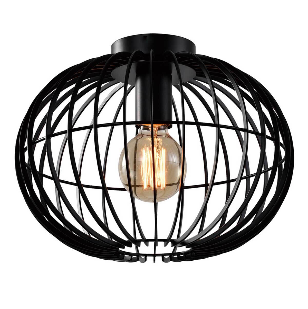 

Потолочный светильник Rivoli Livia 5094-201 Б0053053, Черный, 5094-201 Livia