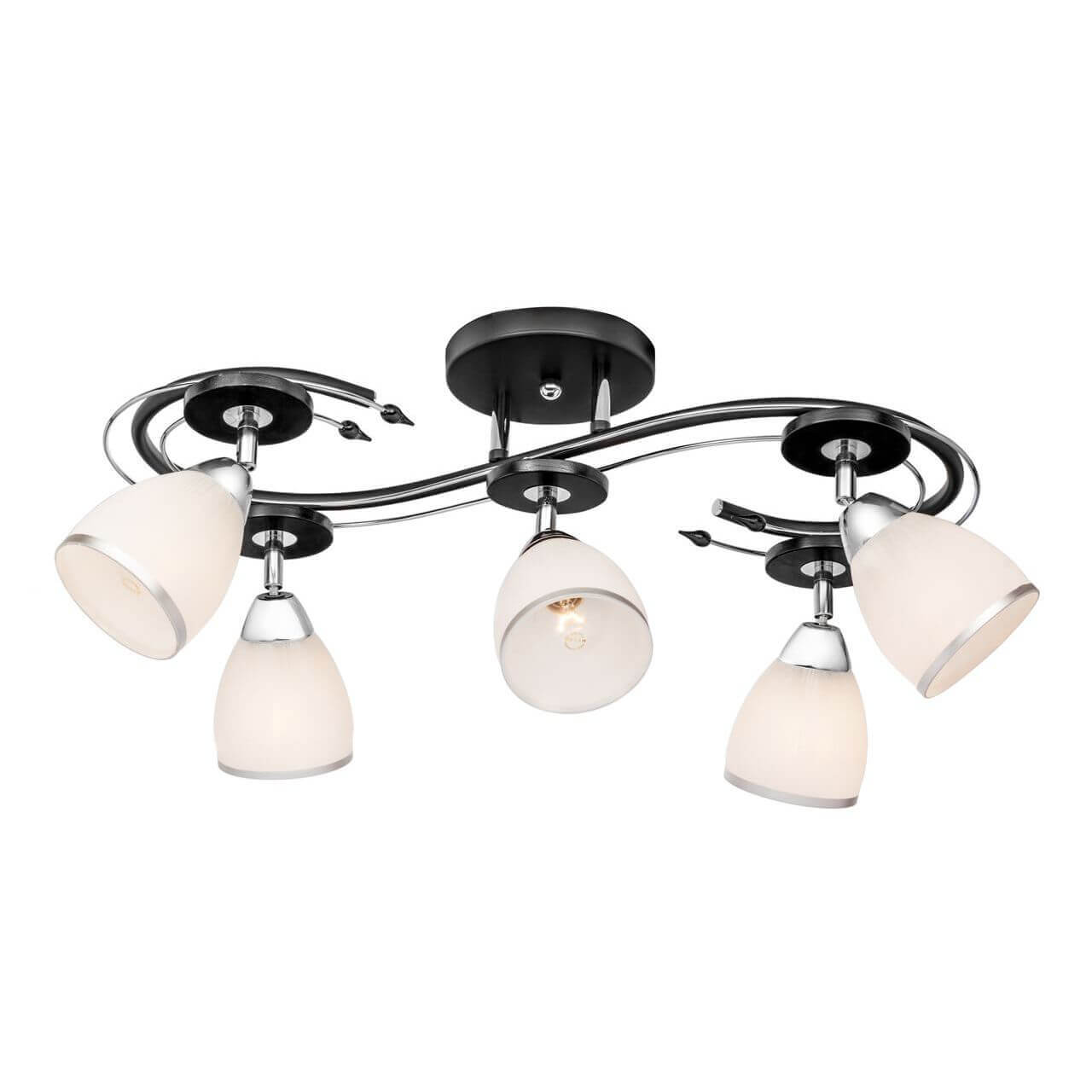 

Спот Silver Light Austerity 245.59.5