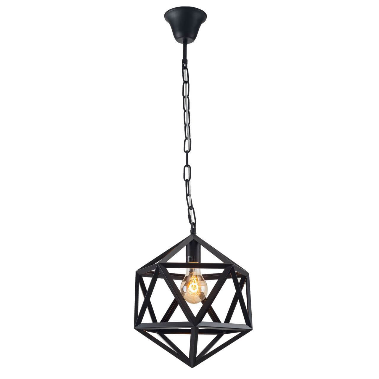 

Светильник Spot Light, Черный, 9500104 Cage