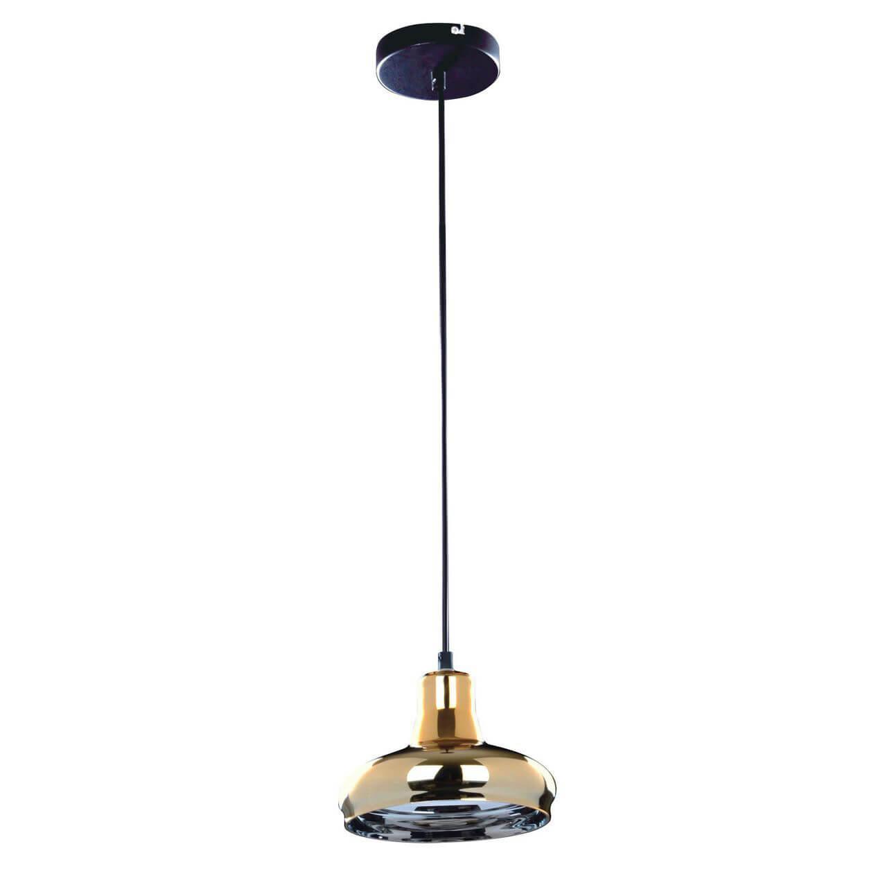 

Подвесной светильник Spot Light Fiji 9704112