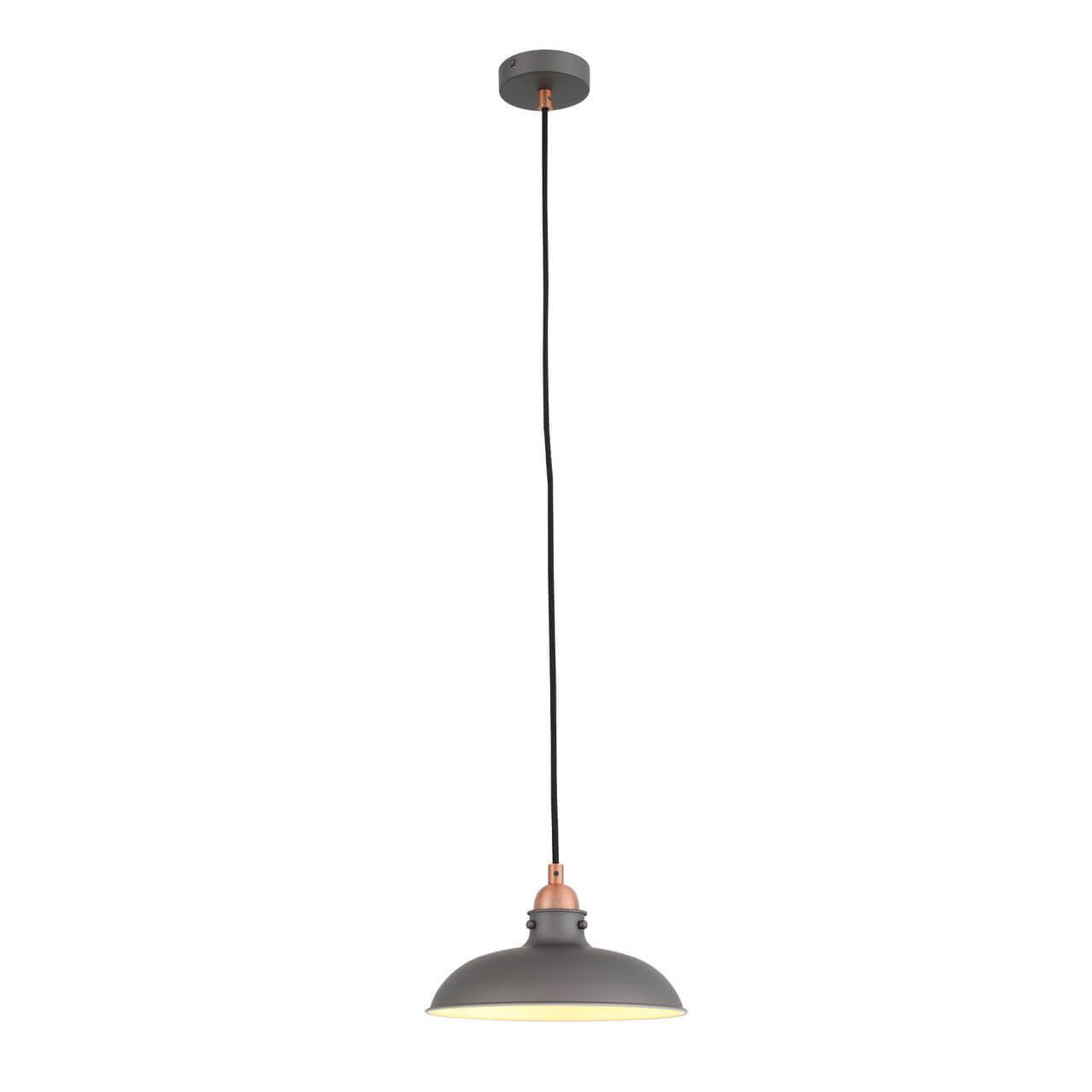 

Светильник ST Luce, Серый, SL323.403.01 Pietanza