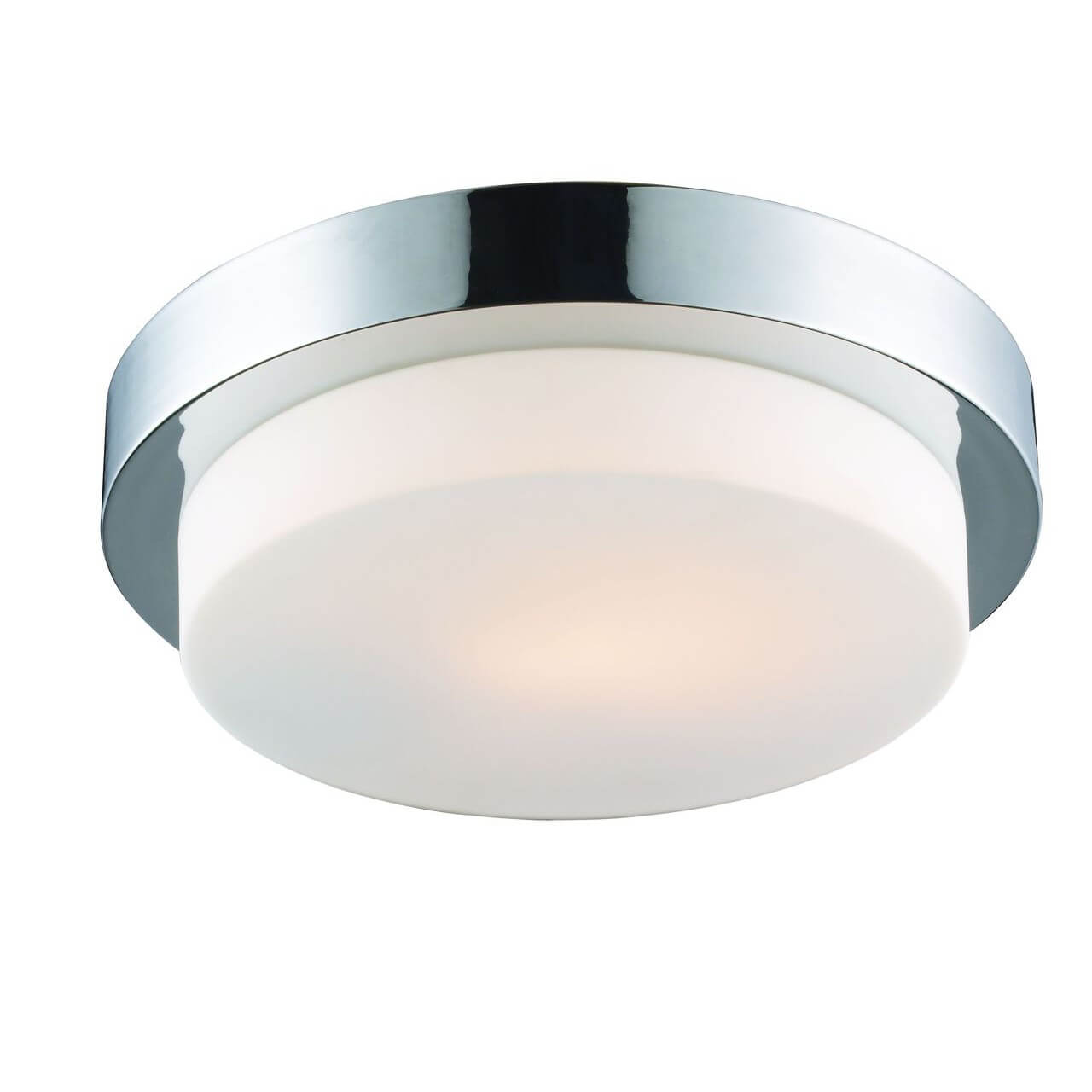 

Потолочный светильник ST Luce Bagno SL498.552.01