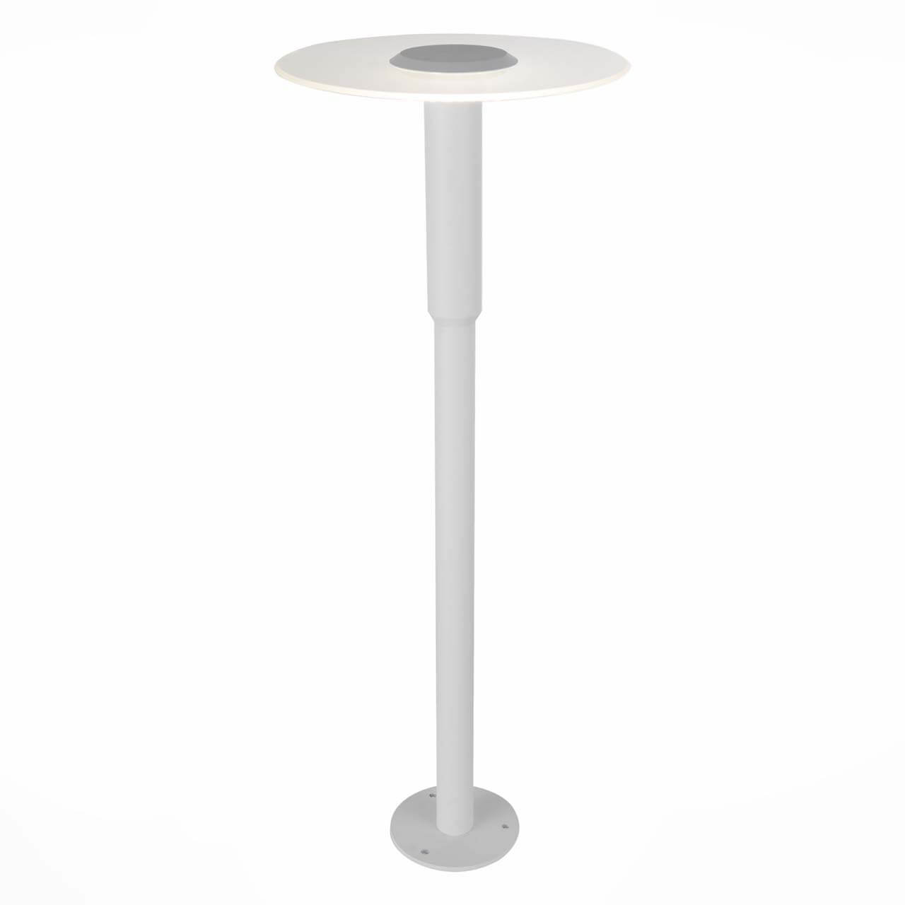 

Уличный светодиодный светильник ST Luce SL099.505.01