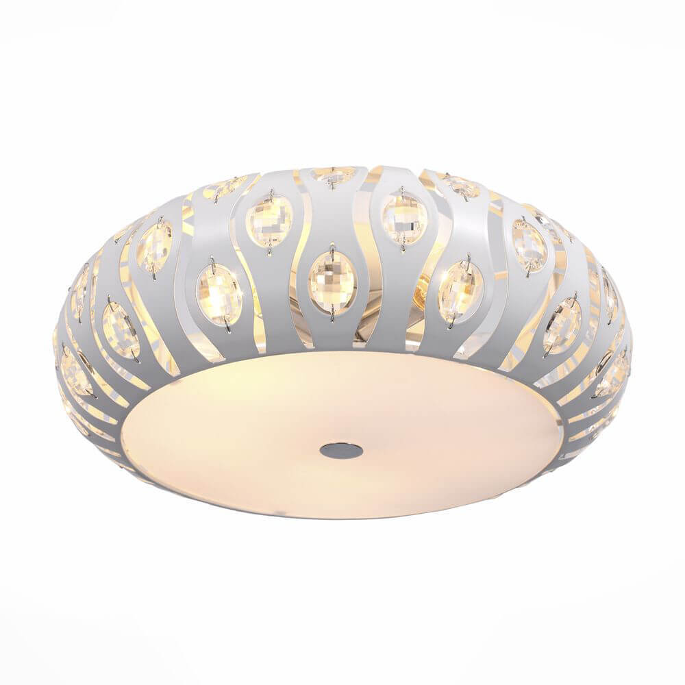 

Потолочный светильник ST Luce Calma SL793.502.05