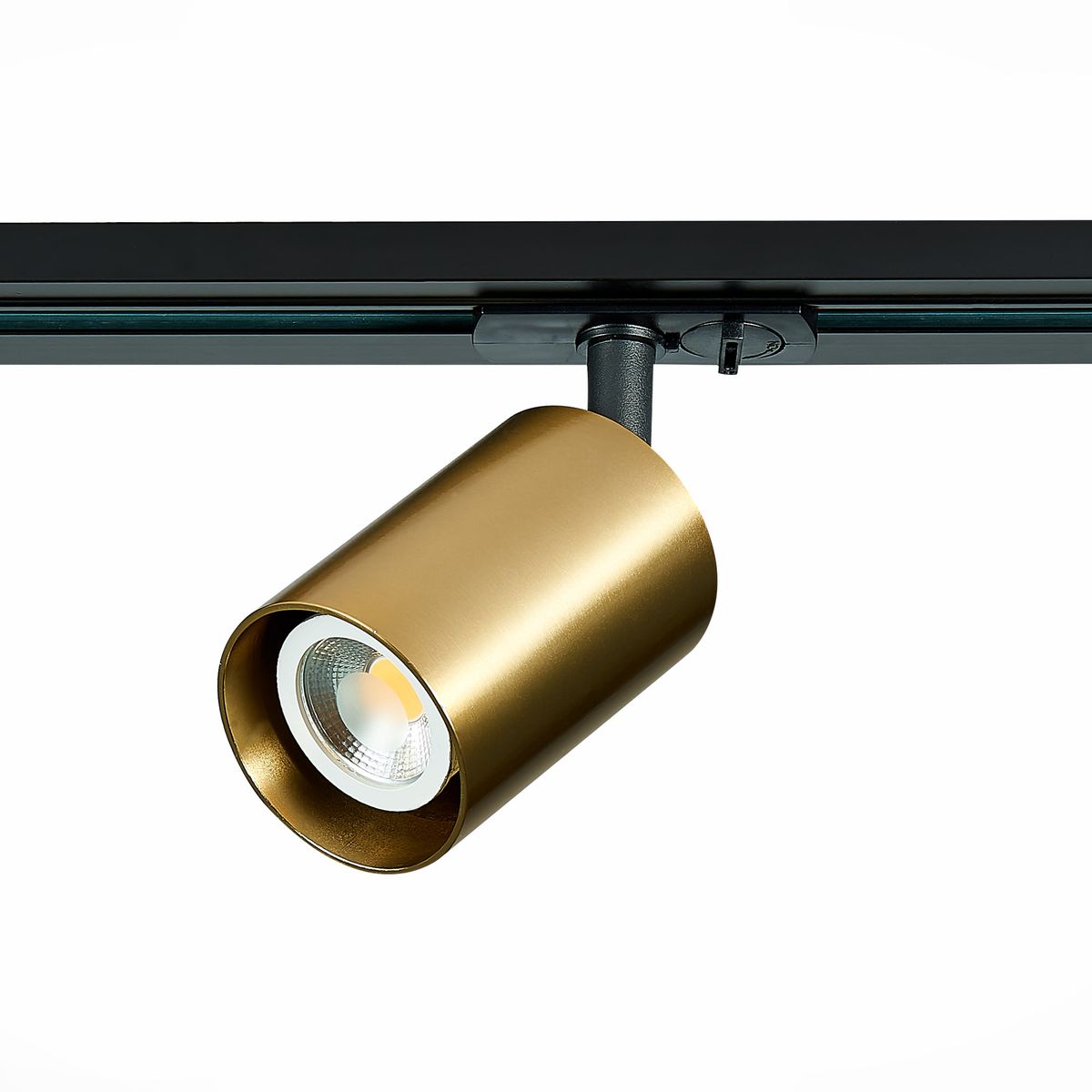 

Трековый светильник ST Luce ST302.206.01, Золотой, ST302.206.01 ST302