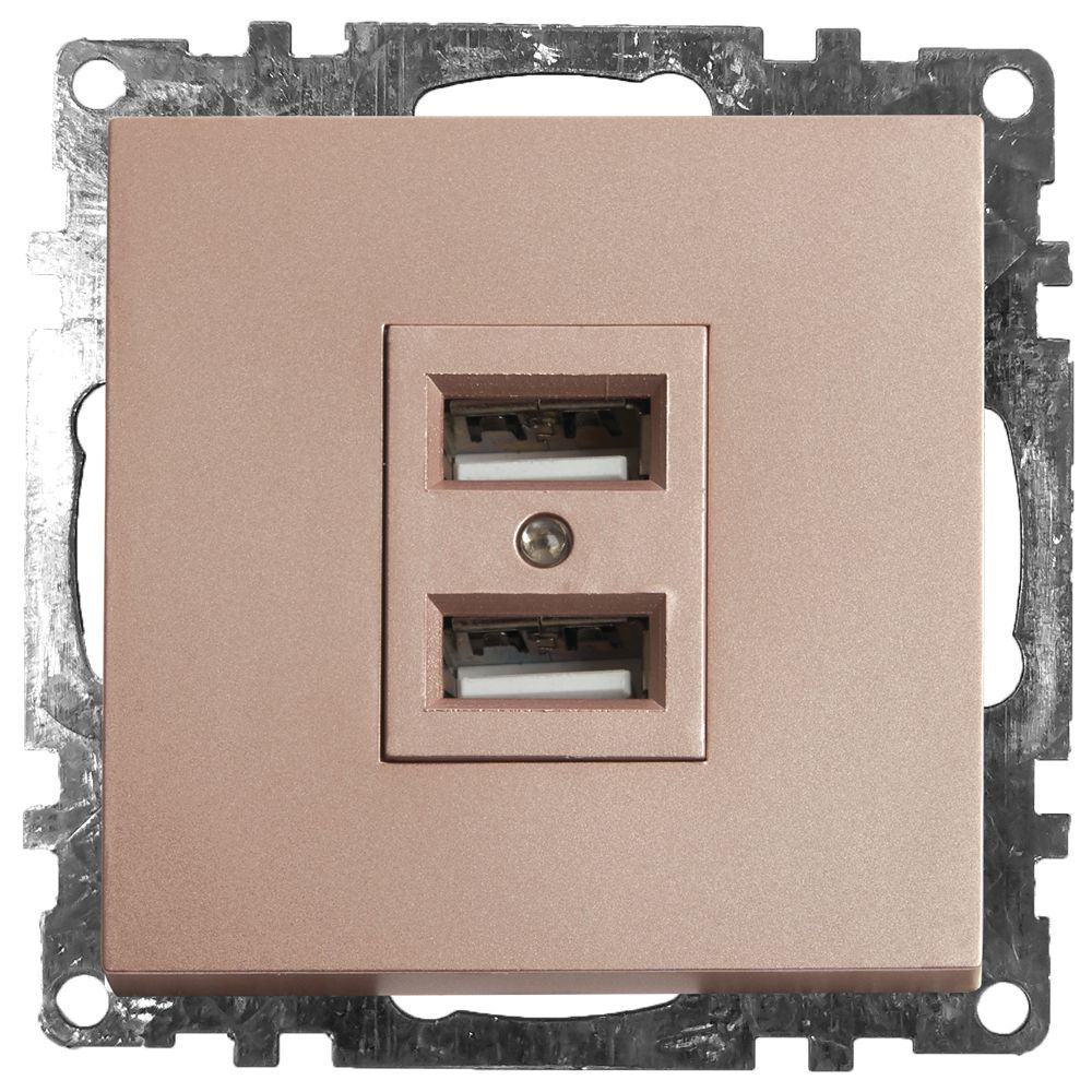 

Розетка 2хUSB Stekker Катрин шампань GLS10-7115-02 39602, 39602 Катрин шампань