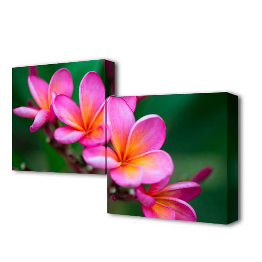 

Модульная картина Нежность цветения Toplight 50x100см TL-M2010, TL-M2010