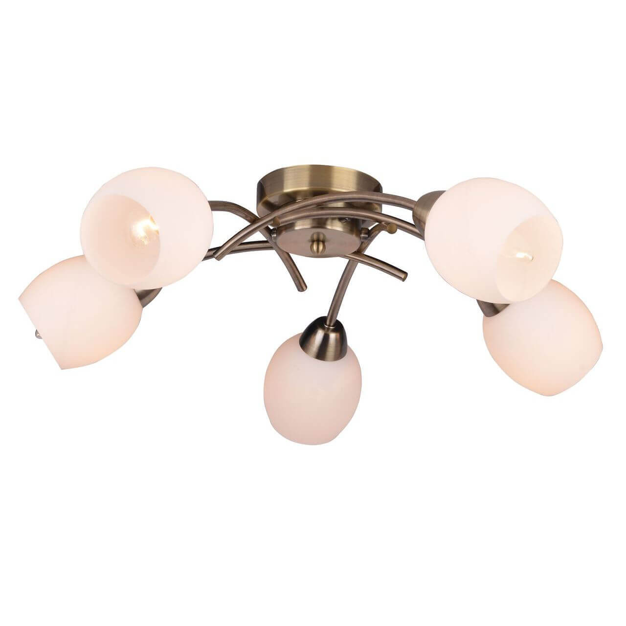 

Потолочная люстра Toplight Merry TL3780X-05AB