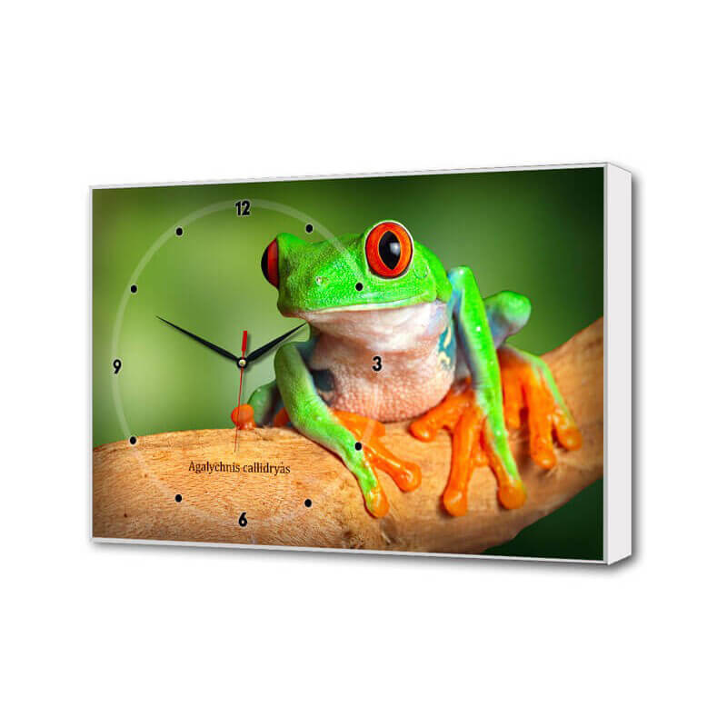 фото Часы toplight