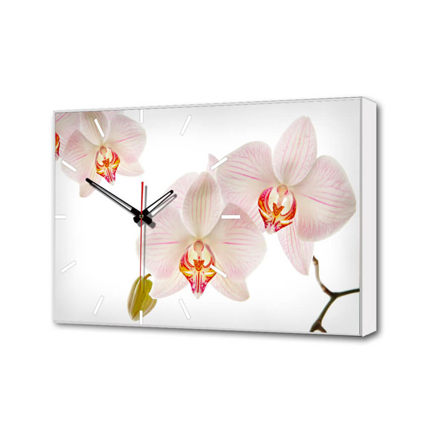 

Настенные часы Белые Орхидеи Timebox Toplight 37х60х4см TL-C5019, Разноцветный, TL-C5019