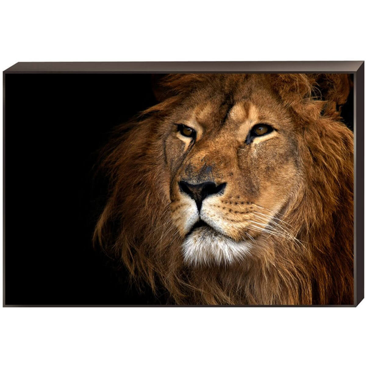 

Постер на подрамнике Toplight 60x90х4см TL-D4042