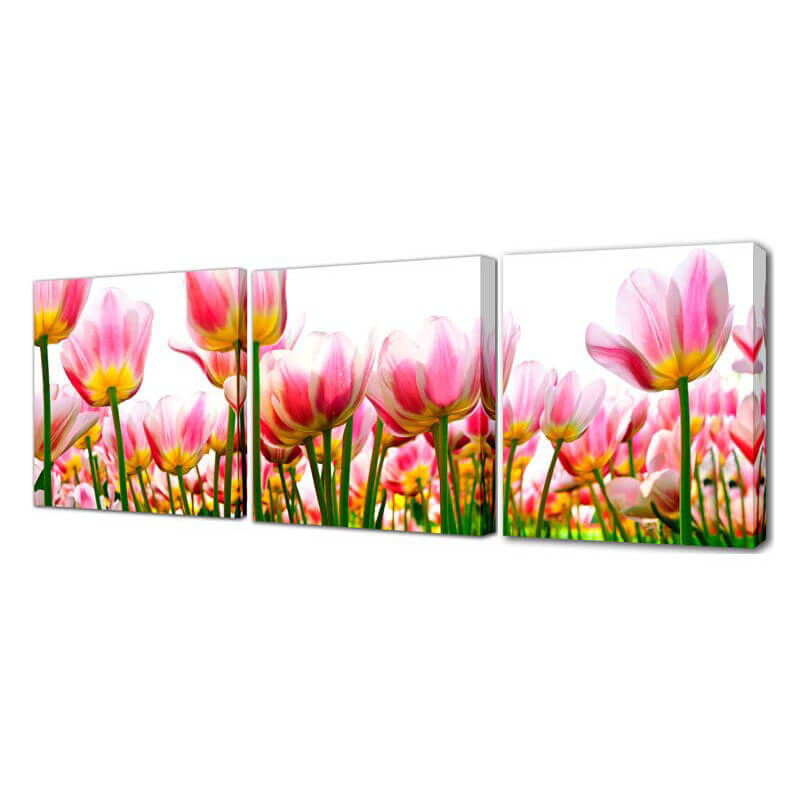 

Модульная картина Море тюльпанов Toplight 150х50см TL-M2006, TL-M2006