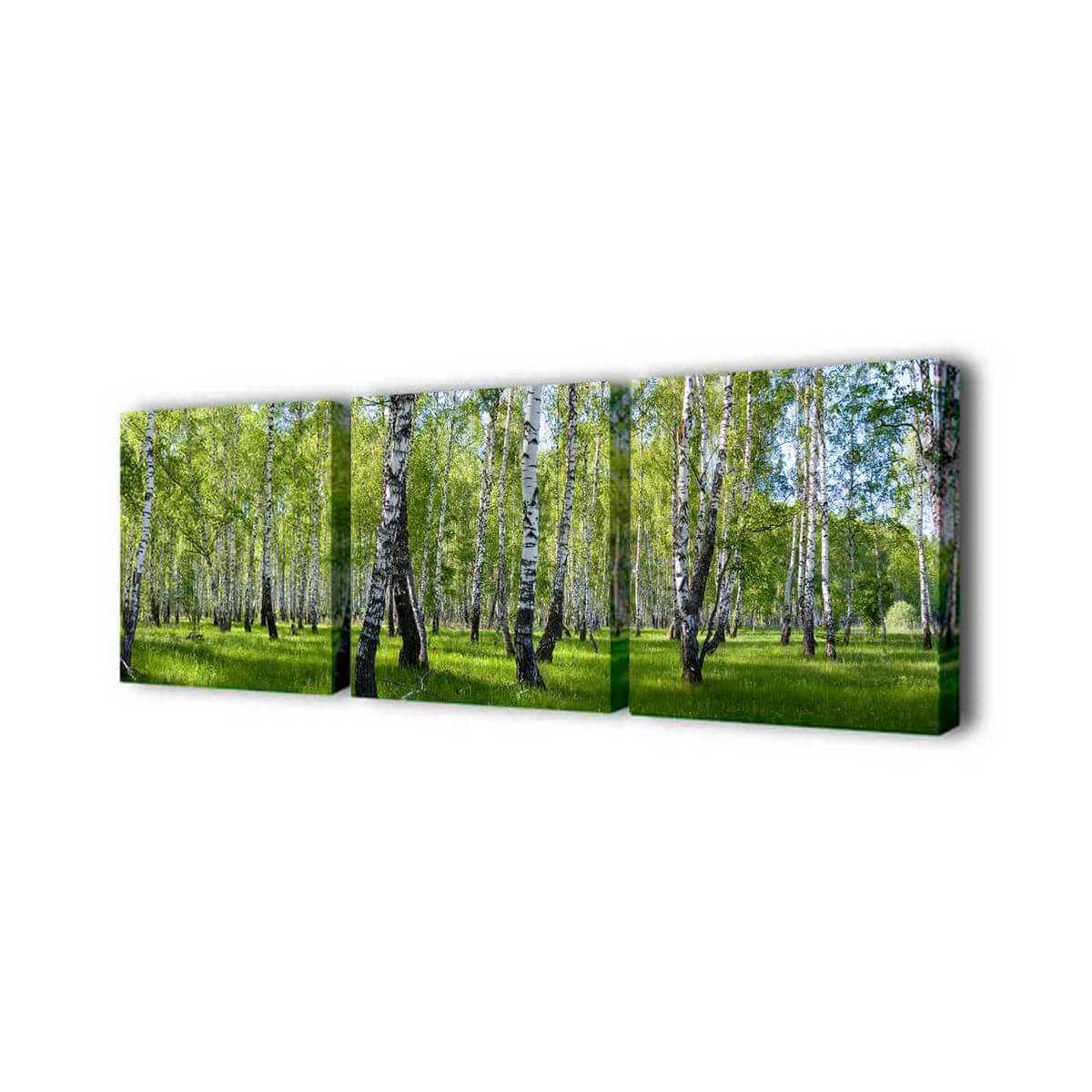 

Модульная картина Березы Toplight 150х50см TL-M2003, TL-M2003