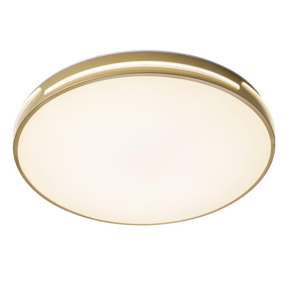 

Потолочный светодиодный светильник Zortes Gabby ZRS.90610.50, Белый, ZRS.90610.50 Gabby