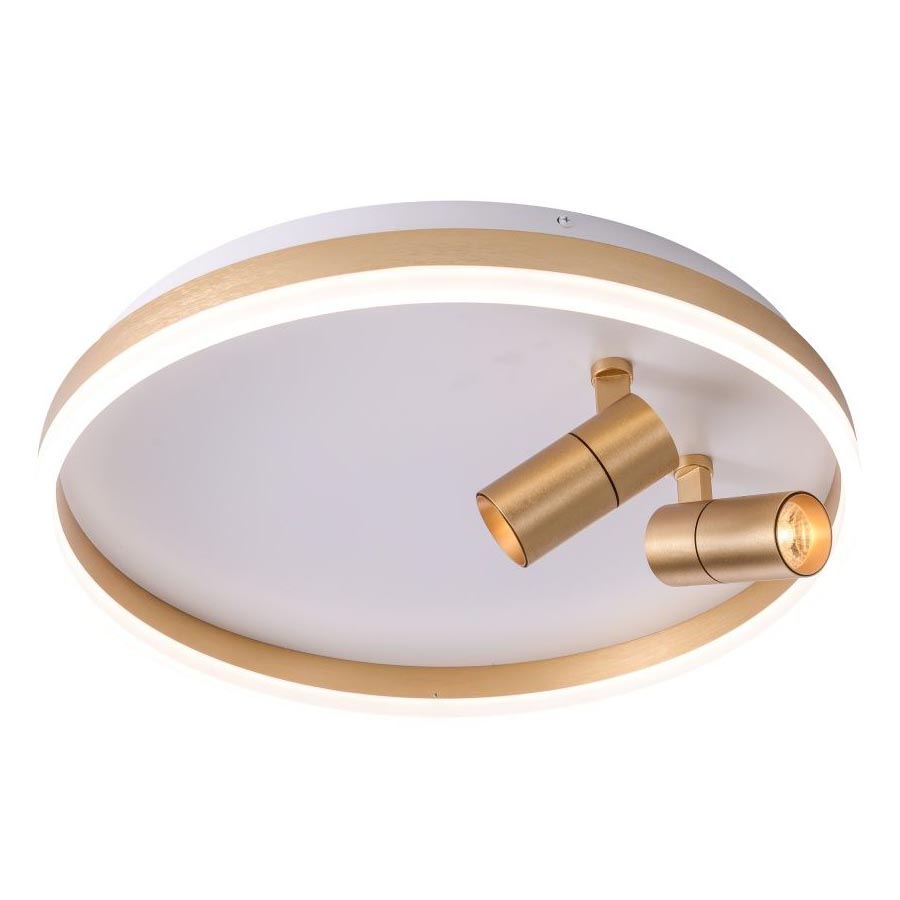 

Потолочная светодиодная люстра Zortes Raizy ZRS.1888.02, Белый, ZRS.1888.02 Raizy