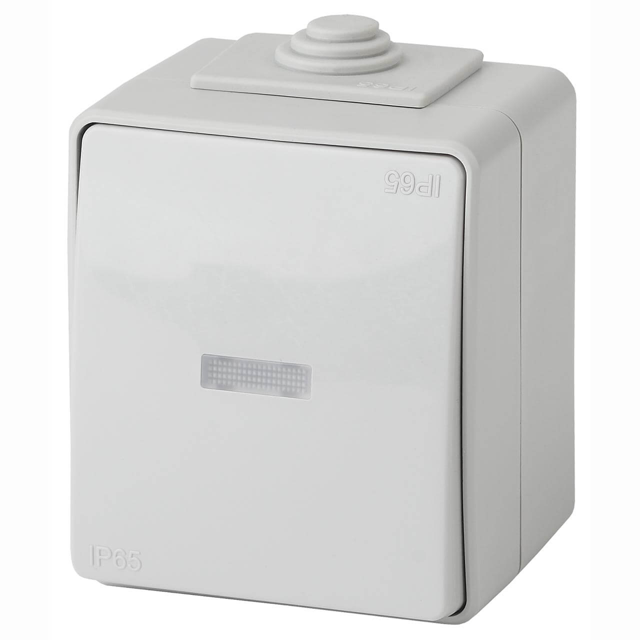 

Переключатель одноклавишный с подсветкой ЭРА Эксперт 10AX 250V IP65 11-1610-03 Б0035981, Серый, 11-1610-03 Эксперт