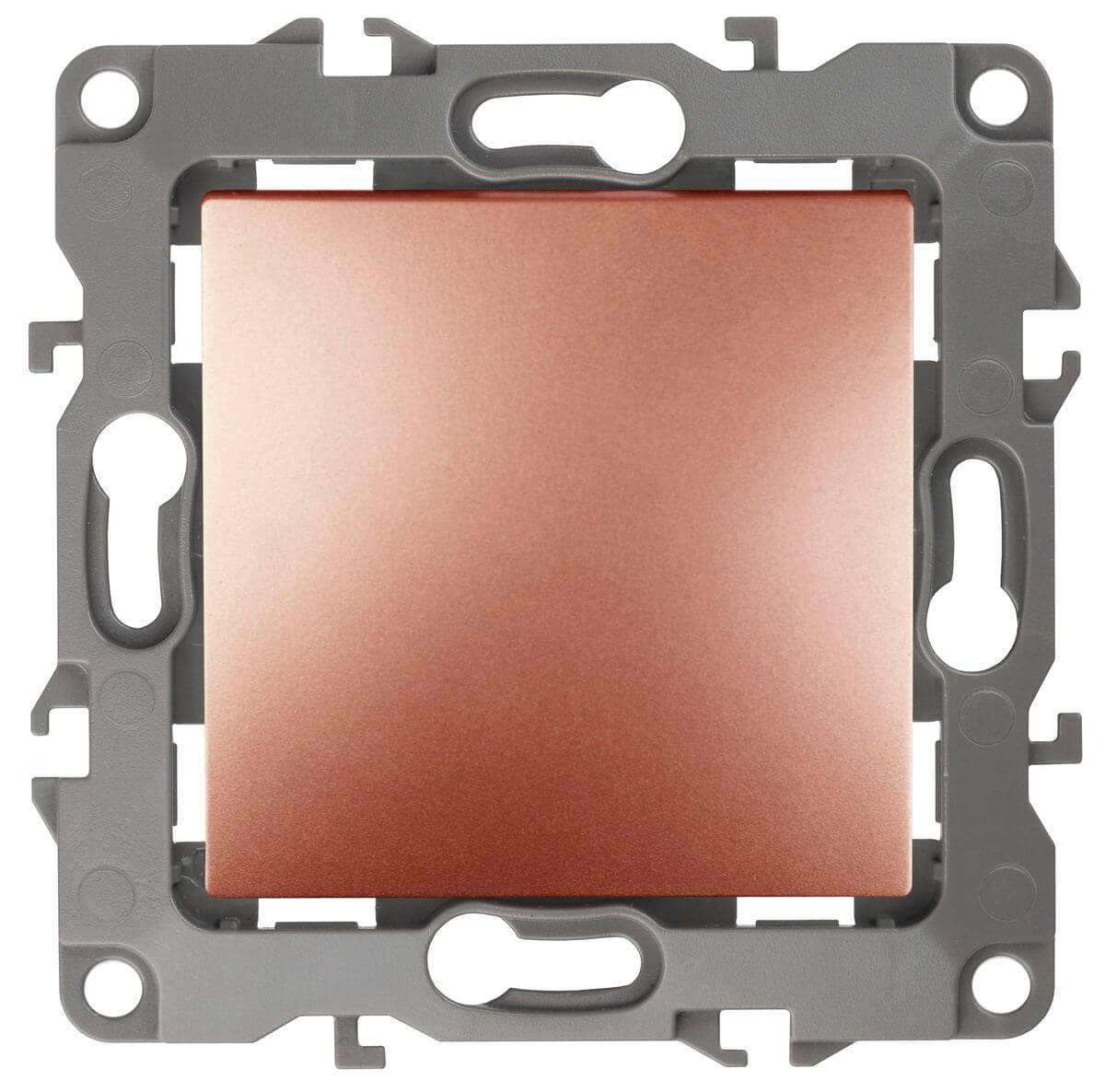 

Кнопка ЭРА 12 10AX 250V медь 12-1111-14 Б0047838, 12-1111-14 Эра12