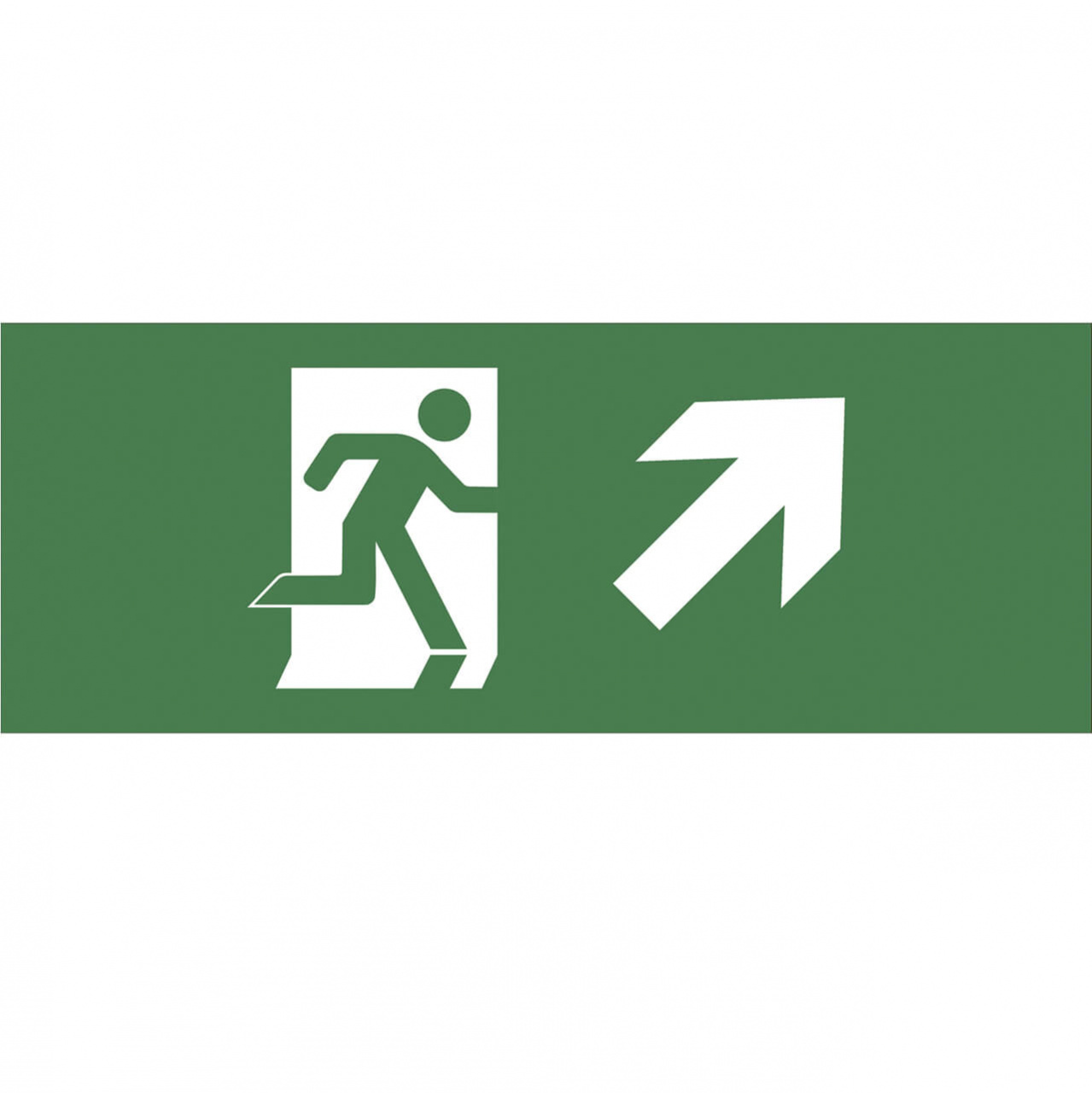 

Пиктограмма ЭРА INFO-DBA-008 Б0048460, Зеленый, INFO-DBA-008 DPA/DBA