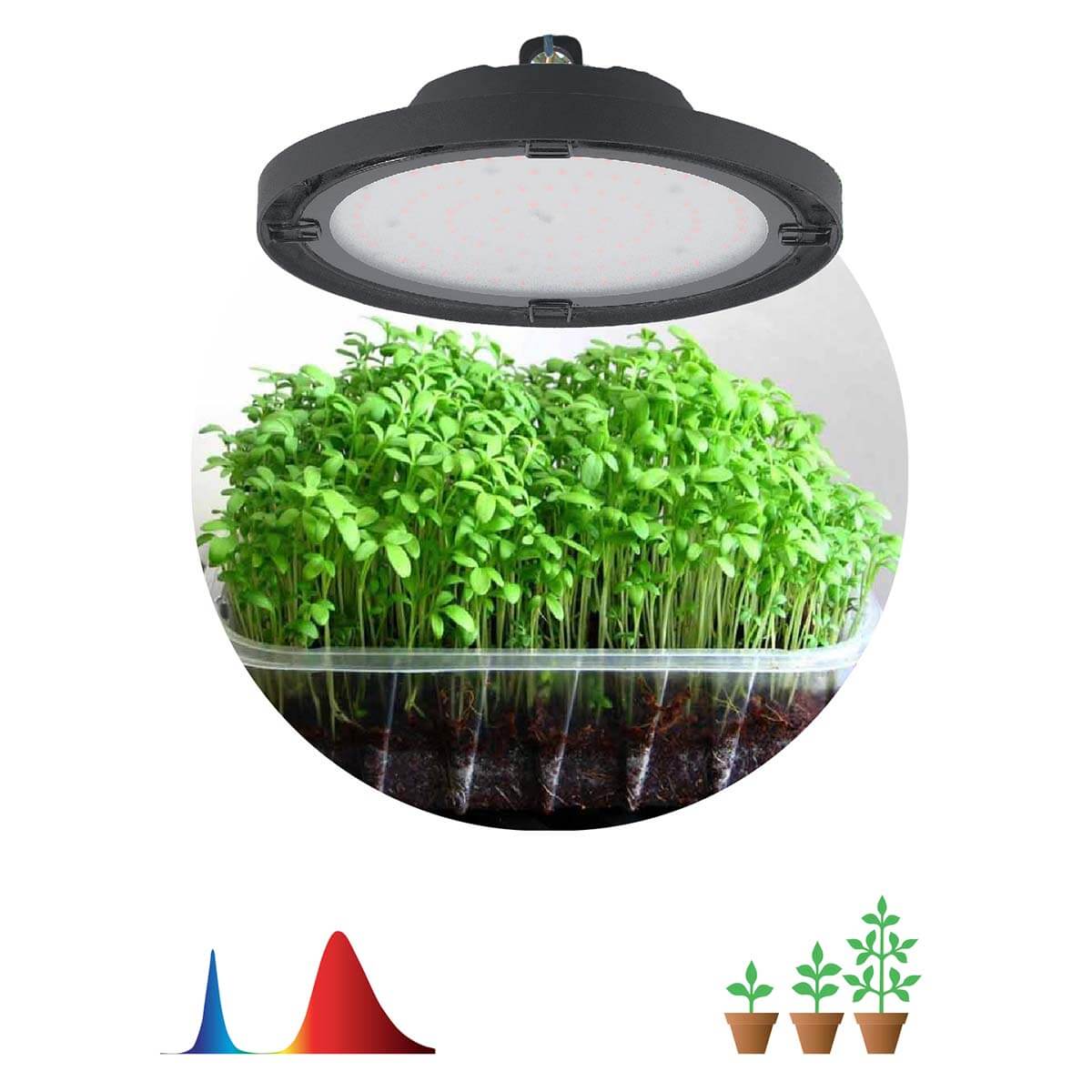 

Прожектор светодиодный для растений ЭРА 50W 1310K Fito-50W-RB-Led-Ufo Б0053280, Черный, Fito-50W-RB-Led-Ufo Profi green light