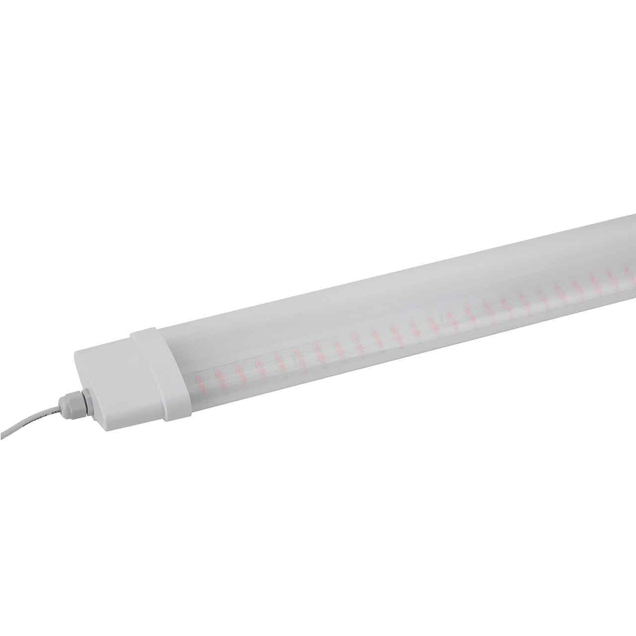

Настенный светодиодный светильник ЭРА Prom Fito-36W-RB-N Б0045697, Белый, Fito-36W-RB-N Prom